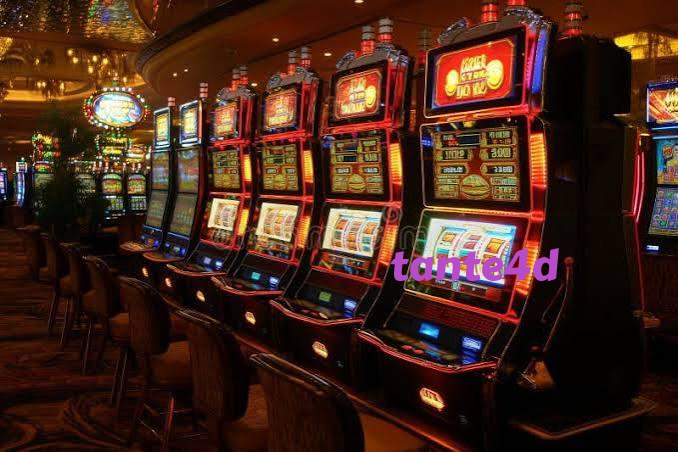 tante4d Live Dealer Tables at Your Fingertips